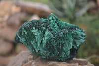 Natural Silky Malachite Specimens x 4 From Kasompe, Congo