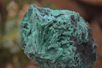 Natural Silky Malachite Specimens x 4 From Kasompe, Congo