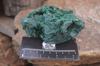 Natural Silky Malachite Specimens x 4 From Kasompe, Congo