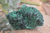 Natural Silky Malachite Specimens x 4 From Kasompe, Congo