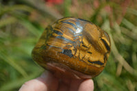 Polished Tiger's Eye Free Forms x 3 From Prieska, South Africa