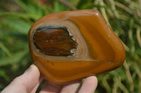 Polished Tiger's Eye Free Forms x 3 From Prieska, South Africa