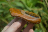 Polished Tiger's Eye Free Forms x 3 From Prieska, South Africa