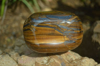 Polished Tiger's Eye Free Forms x 3 From Prieska, South Africa