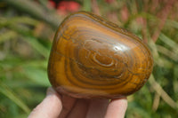 Polished Tiger's Eye Free Forms x 3 From Prieska, South Africa