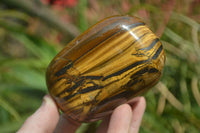 Polished Tiger's Eye Free Forms x 3 From Prieska, South Africa