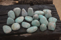 Polished Amazonite Free Forms x 35 From Zimbabwe