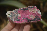 Natural Salrose Cobaltion Dolomite Specimens x 12 From Kakanda, Congo