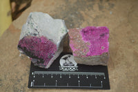 Natural Salrose Cobaltion Dolomite Specimens x 12 From Kakanda, Congo