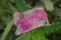 Natural Salrose Cobaltion Dolomite Specimens x 12 From Kakanda, Congo