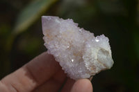 Natural Ametrine Spirit Quartz Crystals x 24 From Boekenhouthoek, South Africa