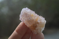 Natural Ametrine Spirit Quartz Crystals x 24 From Boekenhouthoek, South Africa