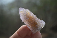 Natural Ametrine Spirit Quartz Crystals x 24 From Boekenhouthoek, South Africa