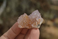 Natural Ametrine Spirit Quartz Crystals x 24 From Boekenhouthoek, South Africa