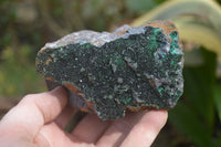 Natural Libethenite Crystals On Dolomite Matrix Specimens x 2 From Shituru, Congo