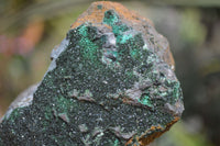 Natural Libethenite Crystals On Dolomite Matrix Specimens x 2 From Shituru, Congo