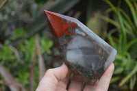 Polished Bloodstone Points x 2 From Swaziland