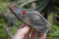 Polished Bloodstone Points x 2 From Swaziland