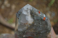 Polished Bloodstone Points x 2 From Swaziland