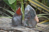 Polished Bloodstone Points x 2 From Swaziland