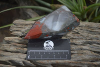 Polished Bloodstone Points x 2 From Swaziland