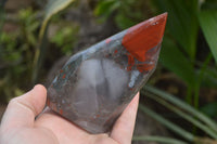 Polished Bloodstone Points x 2 From Swaziland