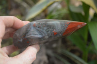 Polished Bloodstone Points x 2 From Swaziland