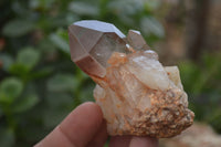 Natural Red Hematoid Quartz Crystal Specimens x 12 From Zimbabwe