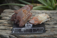 Natural Red Hematoid Quartz Crystal Specimens x 12 From Zimbabwe