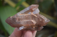 Natural Red Hematoid Quartz Crystal Specimens x 12 From Zimbabwe