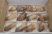 Natural Red Hematoid Quartz Crystal Specimens x 12 From Zimbabwe