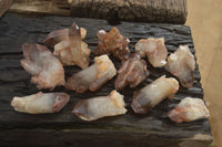 Natural Red Hematoid Quartz Crystal Specimens x 12 From Zimbabwe