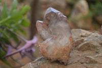 Natural Red Hematoid Quartz Crystal Specimens x 12 From Zimbabwe