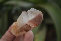 Natural Red Hematoid Quartz Crystal Specimens x 12 From Zimbabwe