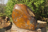 Polished Extra Rare Pietersite Display Piece x 1 From Outjo, Namibia