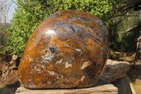 Polished Extra Rare Pietersite Display Piece x 1 From Outjo, Namibia