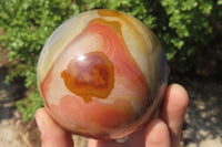 Polished Polychrome Jasper Spheres x 2 From Madagascar