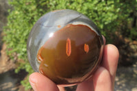 Polished Polychrome Jasper Spheres x 2 From Madagascar