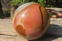 Polished Polychrome Jasper Spheres x 2 From Madagascar