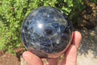 Polished Iolite Water Sapphire Spheres x 2 From Madagascar