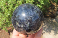 Polished Iolite Water Sapphire Spheres x 2 From Madagascar