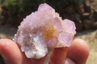 Natural Ametrine Spirit Quartz Clusters x 12 From Boekenhouthoek, South Africa