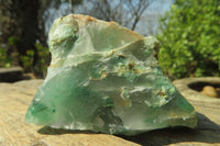 Natural Jade Cobbed Specimens x 13 From Swaziland