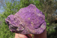 Natural Metallic Purpurite Cobbed Specimens x 12 From Erongo, Namibia