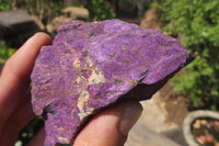 Natural Metallic Purpurite Cobbed Specimens x 12 From Erongo, Namibia