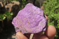 Natural Metallic Purpurite Cobbed Specimens x 12 From Erongo, Namibia