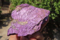 Natural Metallic Purpurite Cobbed Specimens x 12 From Erongo, Namibia