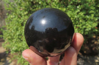 Polished Black Basalt Spheres x 12 From Madagascar