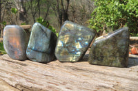 Polished Labradorite Standing Free Forms x 4 From Tulear, Madagascar