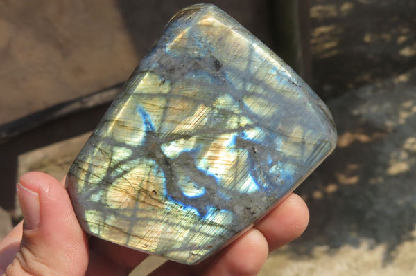 Polished Labradorite Standing Free Forms x 4 From Tulear, Madagascar